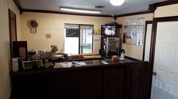 Budget Inn Edinburg Extérieur photo